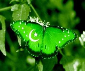 yapboz Pakistan bayrağı